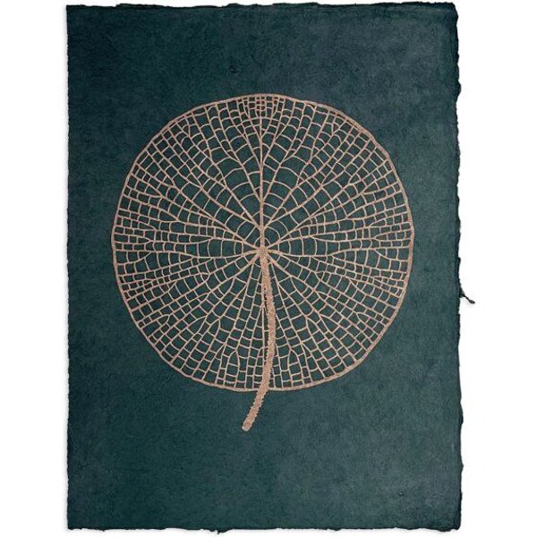 Veskor Cassiopeia VICTORIA AMAZONICA Seerosenblatt Linoldruck | 37 x 50 cm | Kupfer auf Waldgrün