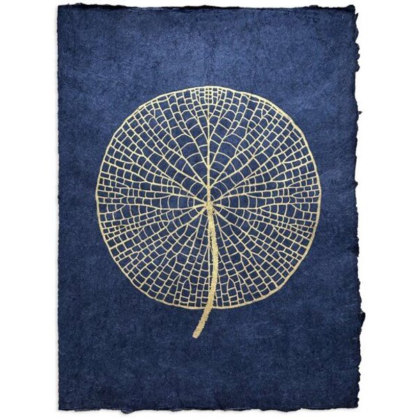 Veskor Cassiopeia VICTORIA AMAZONICA Seerosenblatt Linoldruck | 37 x 50 cm | Lichtgold auf Tiefblau