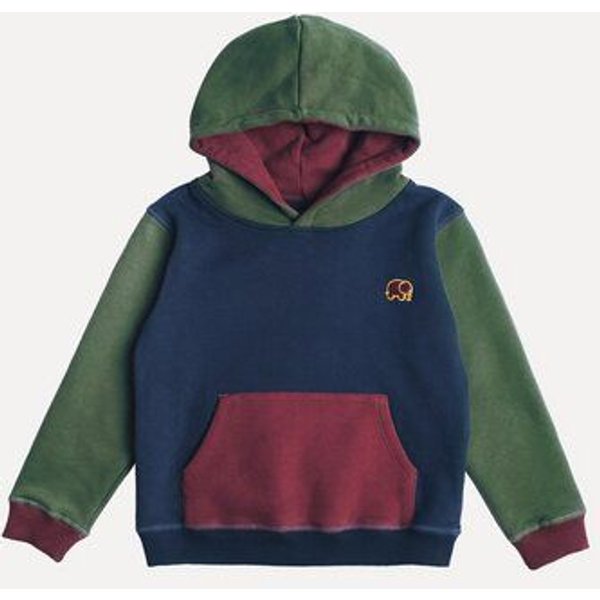 Kid's Color Block Hoodie Trendsplant Blue