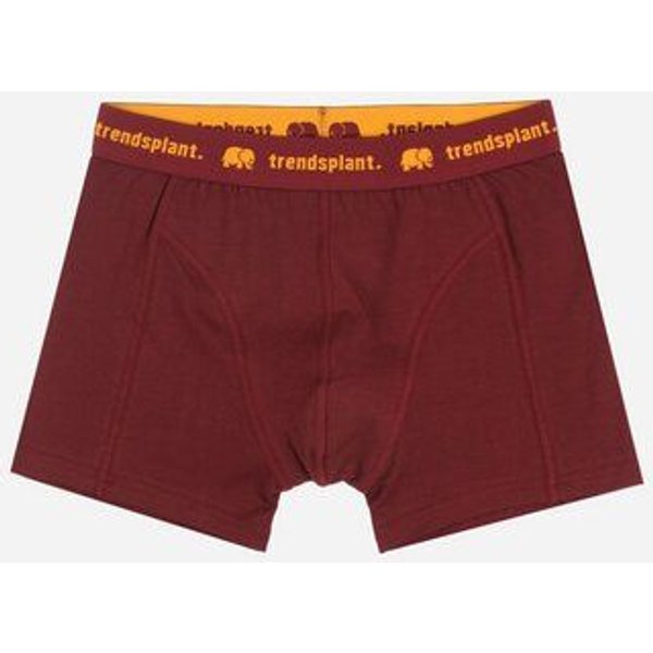 Trendsplant Organic Essential Boxer Briefs Burgundy