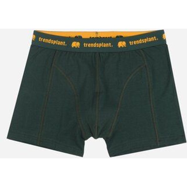 Trendsplant Organic Essential Boxer Briefs Green