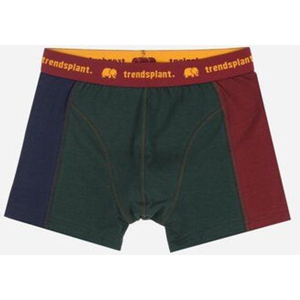 Trendsplant Organic Essential Boxer Briefs Color Block