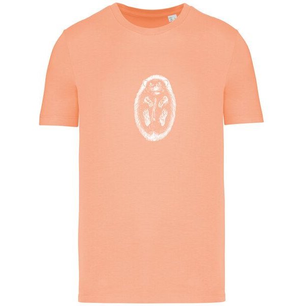 Brandless Basic Bio T-Shirt Igel Nr. 4 ( 155g/m² XXS - 5 XL