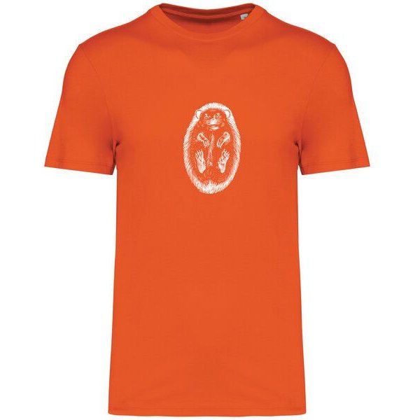 Brandless Basic Bio T-Shirt Igel Nr. 4 ( 155g/m² XXS - 5 XL