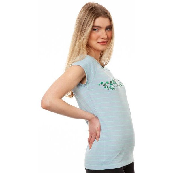 FellHerz Damen Raglan T-Shirt Efeumädchen gestreift blau mint aus 100% Biobaumwolle