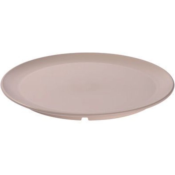 reMAIN MAINplate – 4 St. Mehrweg Teller 23 cm – Bruchfest, Spülmaschinenfest & Mikrowellengeeignet – Made in Germany