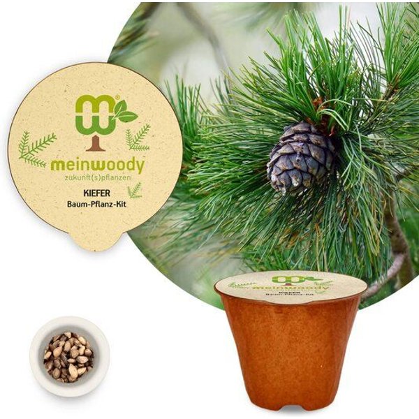 meinwoody Baum-Pflanz-Set