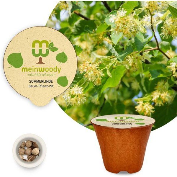 meinwoody Baum-Pflanz-Set