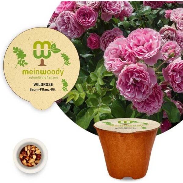 meinwoody Baum-Pflanz-Set