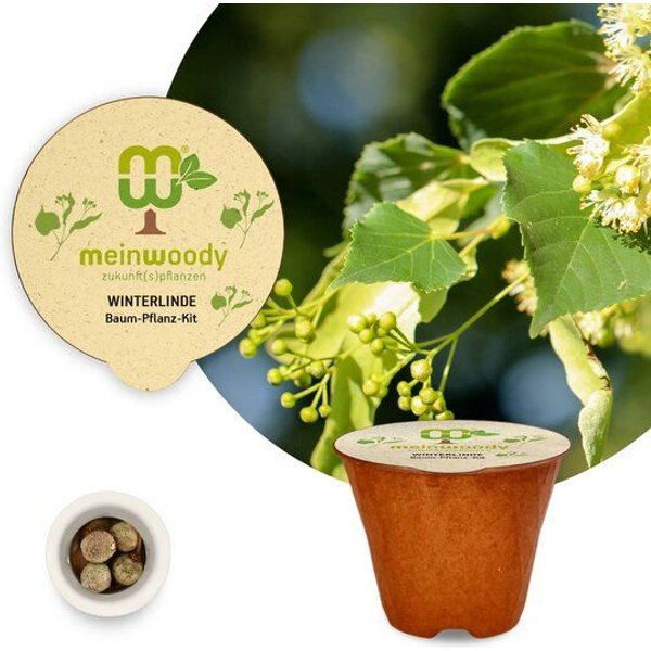 meinwoody Baum-Pflanz-Set