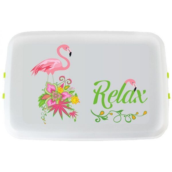 Biodora Bio-PE Lunchbox (0,8 L) – Verschiedene Designs – Biokunststoff auf Stärkebasis – Made in EU