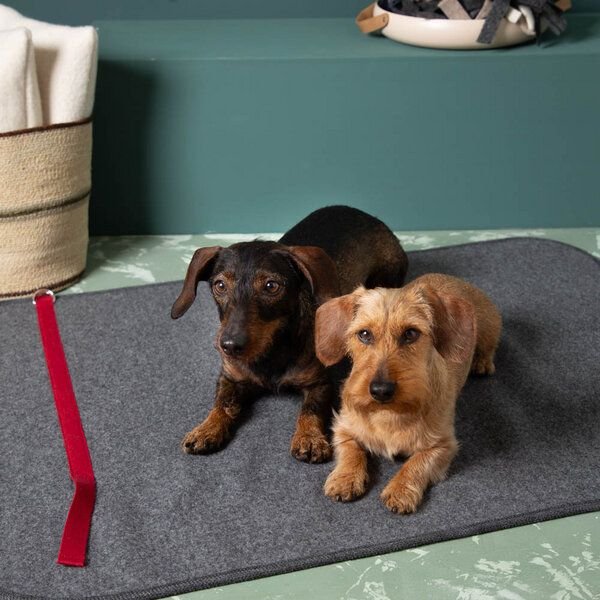 nahtur-design Hundematte aus Loden | 100 % Schurwolle | Trageriemen | 3 Größen