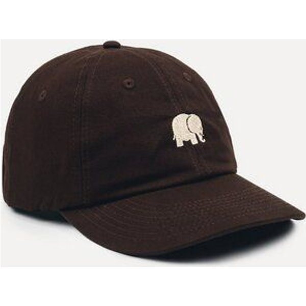 Trendsplant Logo Dad Cap Poplar Brown