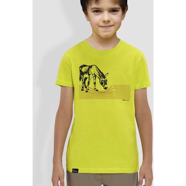 little kiwi Kinder T-Shirt, "Eselchen", Aloe