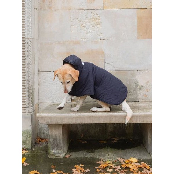 New Orchard Dog Hoodie Navy, Rot, Blau