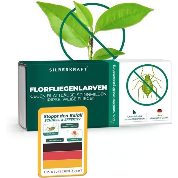 Silberkraft Florfliegenlarven gegen Blattläuse, Woll- & Schmierläuse, Spinnmilben, Thripse & weiße Fliegen