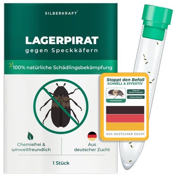 Silberkraft Lagerpirat zur Bekämpfung von Speckkäfern, Teppichkäfer & Vorratsschädlingen Lagerpiraten (Raubwanze Xylocoris Xylocoris flavipes)