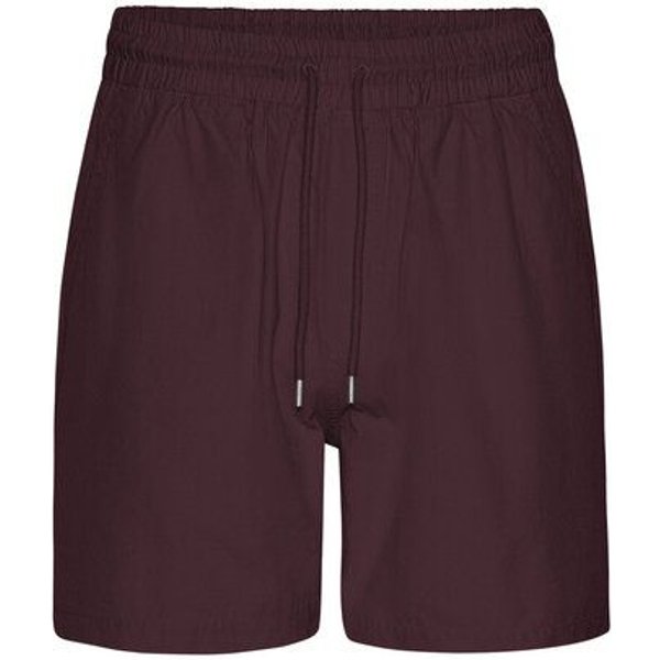 Colorful Standard Classic Organic Twill Shorts