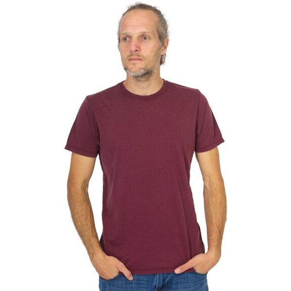 Life-Tree Organic Fairwear Shirt Men Basic | Blau/Grün/Rot