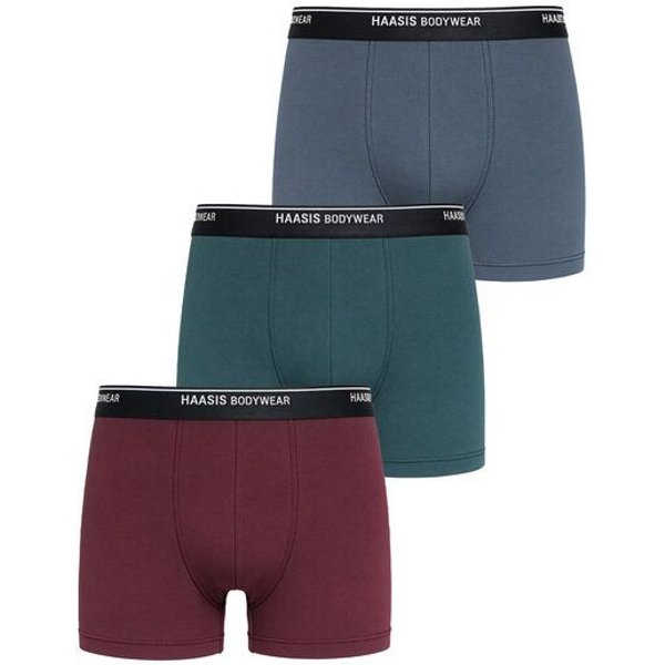 Haasis Bodywear Herren Pants, ohne Eingriff, 3er Pack, Gummibund