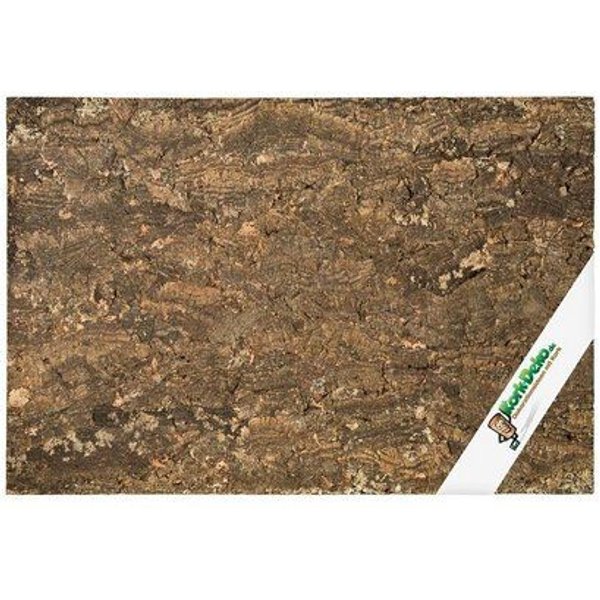 Kork-Deko 129,89 EUR/qm Korkrückwand Forest 60 x 30 cm (Rückwand Terrarium), 3D Kork-Rückwand 600 x 300 mm