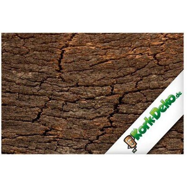 Kork-Deko 227,50 EUR/qm Korkrückwand aus einem Stück Kork-Rinde 60x30 cm