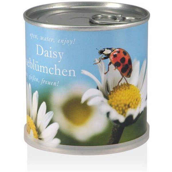 MacFlowers Pflanzen in der Dose - Gänseblümchen