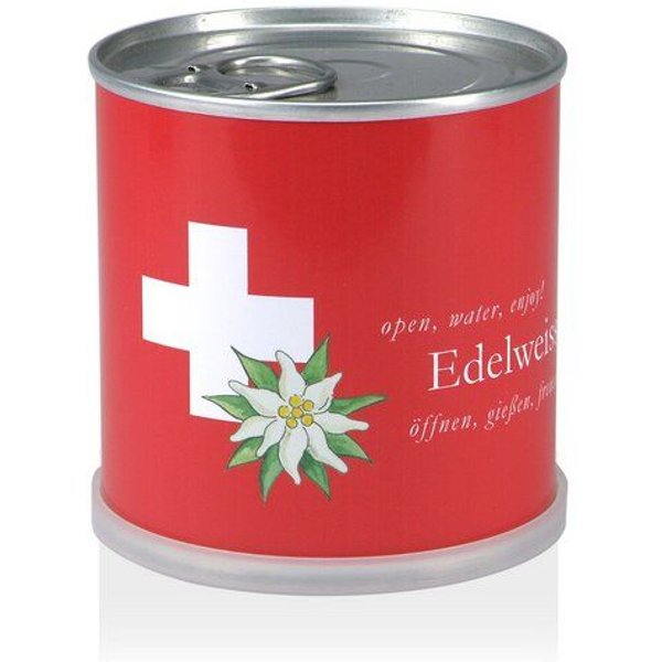 MacFlowers Pflanzen in der Dose - Edelweiss Schweiz