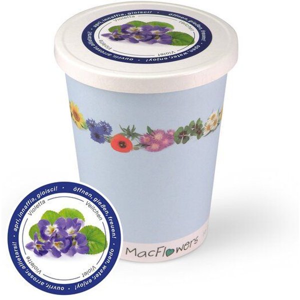 MacFlowers Blumen im Becher TO GROW - Veilchen