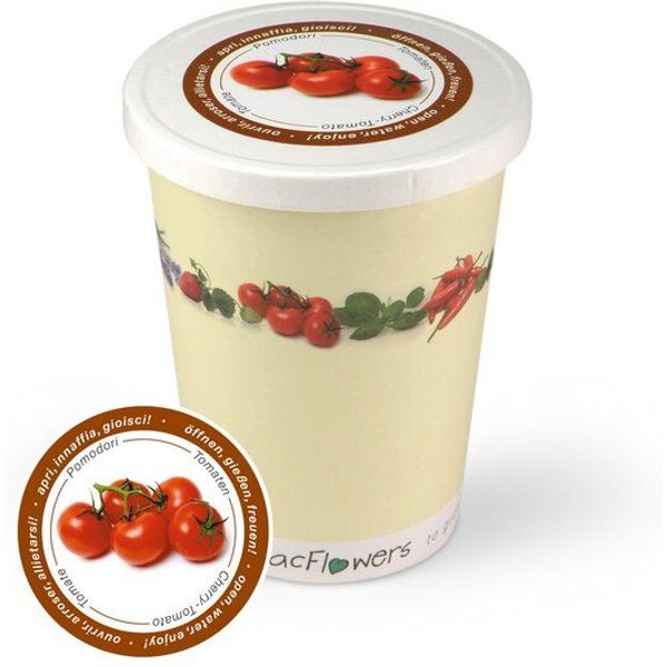 MacFlowers Blumen im Becher TO GROW - Tomate