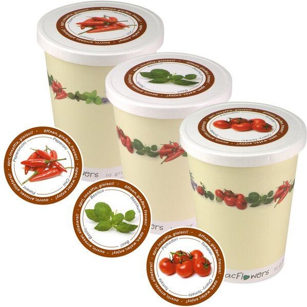 MacFlowers Blumen im Becher TO GROW Küchenpflanzen und Geschenk Set Italia