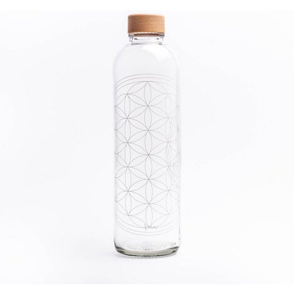 Carry Bottles Glastrinkflasche 1.0l verschiedene Designs