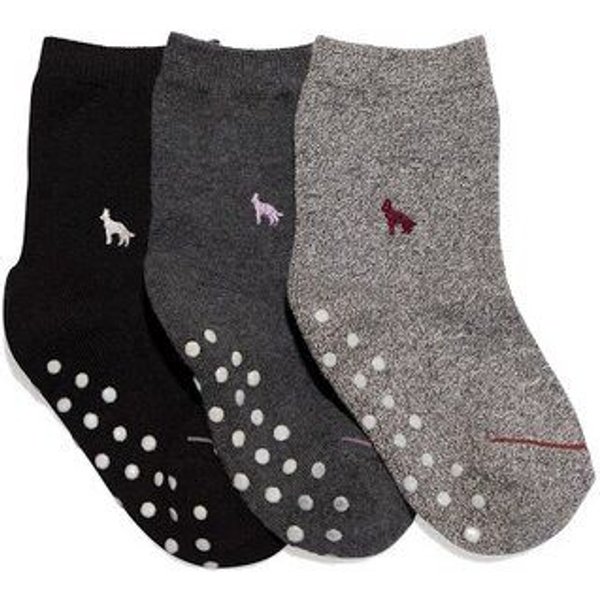 Conscious Step Kindersocken Box für Hundeliebhaber_innen