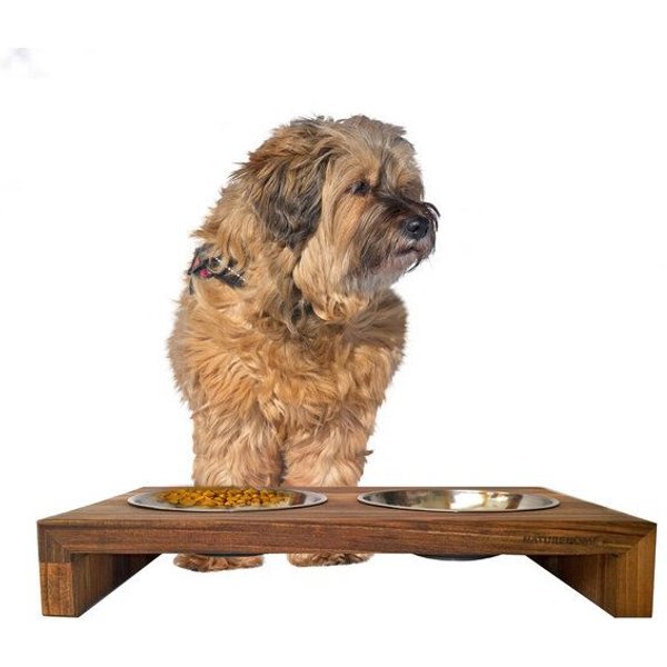 NATUREHOME Design Hundebar aus Holz, Buche, Eiche oder Nussbaum 50x30x8 cm