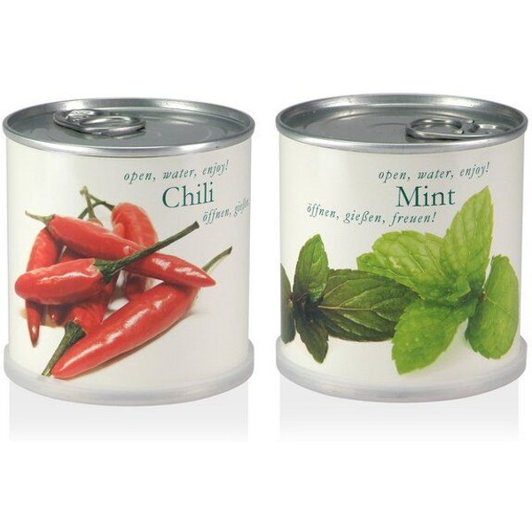 Blumen in der Dose Geschenk Set - Chili - Minze von Macflowers