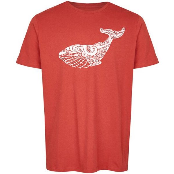 Brandless Basic Bio T-Shirt (men) Nr.2 Wal