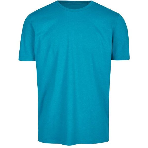 Brandless Basic Bio T-Shirt Rundhals (Männer) Nr.3 GOTS