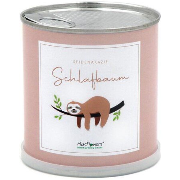 MacFlowers Pflanzen in der Dose - Faultier Schlafbaum - Blumen Geschenk