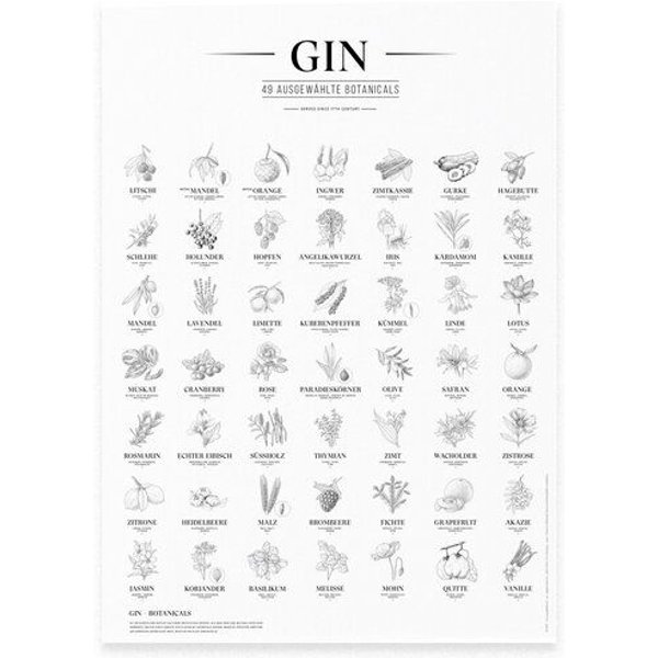 531 Rheinland Design Gin Plakat, 49 ausgewählte Kräuter Botanicals Gin Aromen als Poster