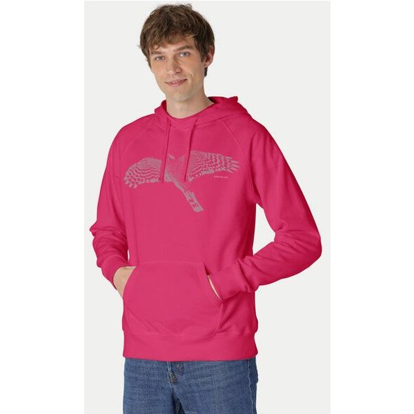 Peaces.bio - handbedruckte Biomode Bio-Herren-Kapuzensweater Sperber