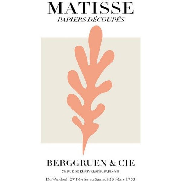Photocircle Poster / Leinwandbild - Matisse - Papiers Découpés, rosa botanisches Design