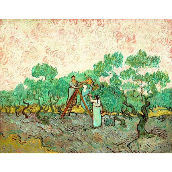 Photocircle Poster / Leinwandbild - Frauen pflücken Oliven von Vincent van Gogh