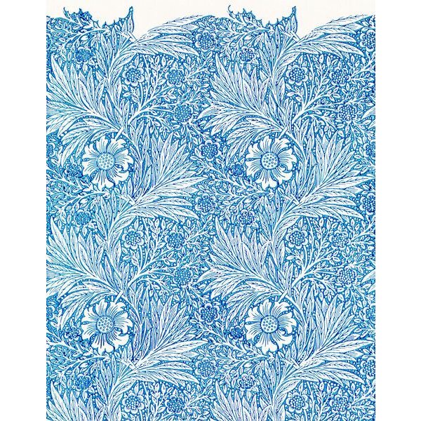 Photocircle Poster / Leinwandbild - William Morris: Blaue Ringelblume