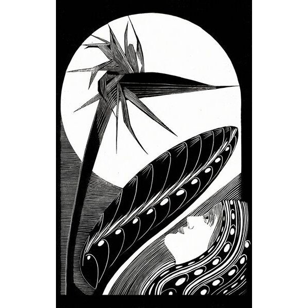 Photocircle Poster / Leinwandbild - Samuel Jessurun de Mesquita: Strelitzia