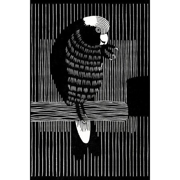Photocircle Poster / Leinwandbild - Samuel Jessurun de Mesquita: Rosékaketoe