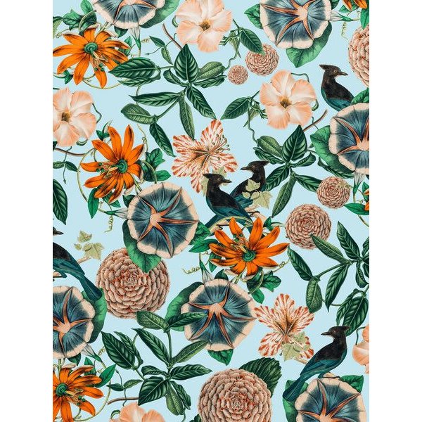 Photocircle Poster / Leinwandbild - Forest Birds