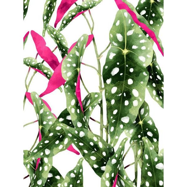 Photocircle Poster / Leinwandbild - Happiness Is...Buying Plants