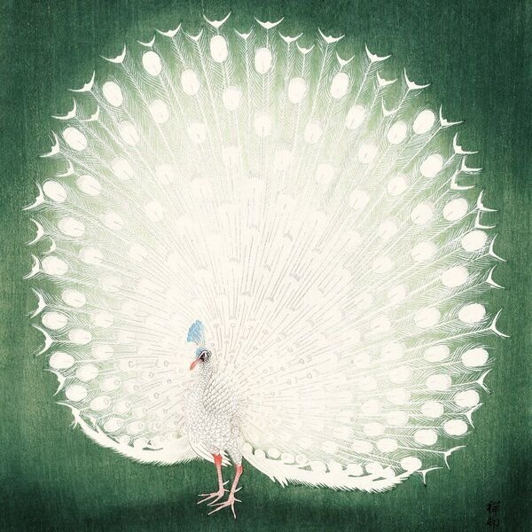 Photocircle Poster / Leinwandbild - Pfau von Ohara Koson
