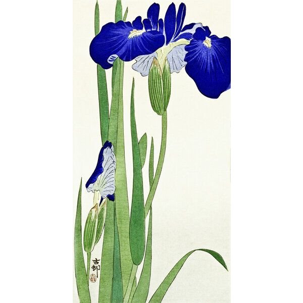 Photocircle Poster / Leinwandbild - Irisblumen von Ohara Koson