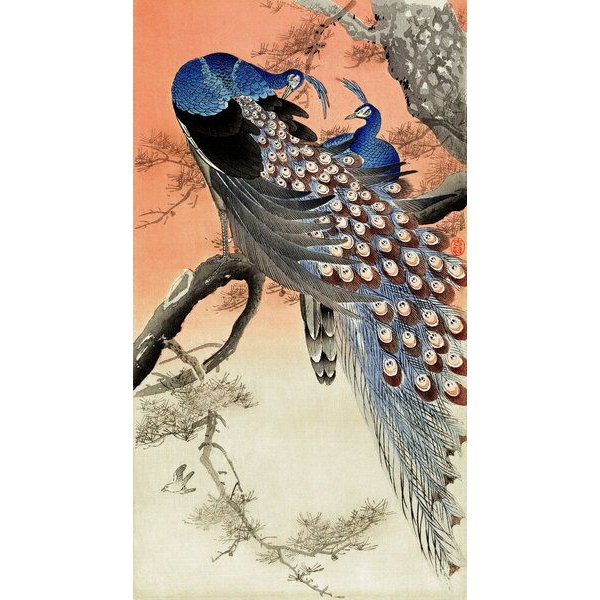 Photocircle Poster / Leinwandbild - Zwei Pfauen in einem Baum von Ohara Koson